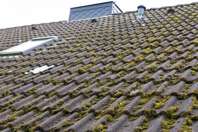 Roof Maintenance Tips